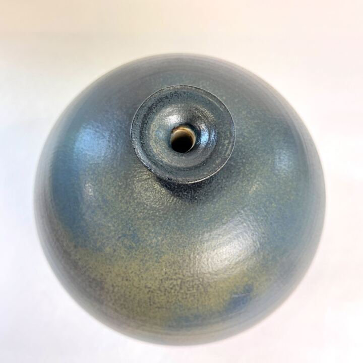n02900
