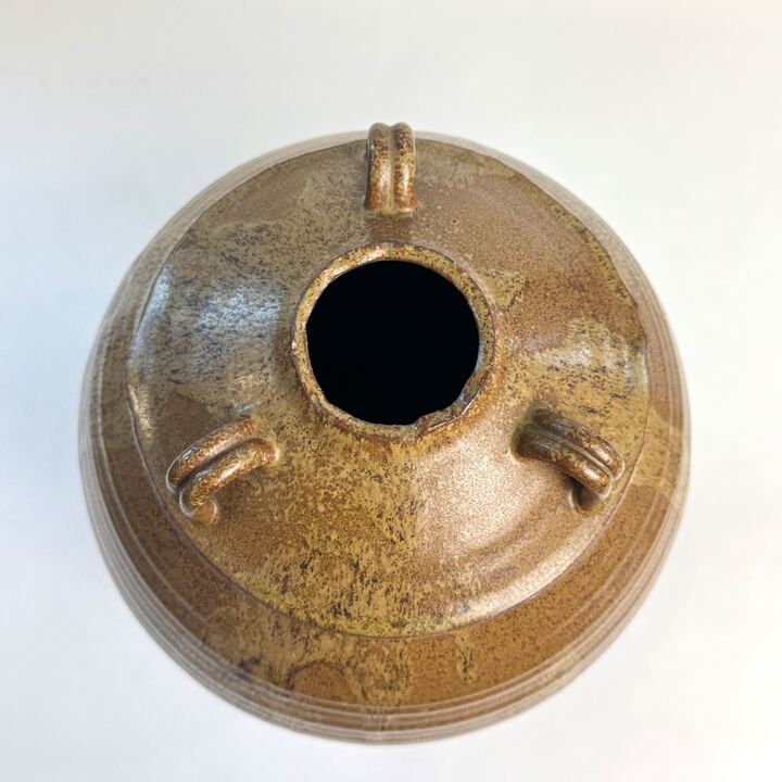 n02924
