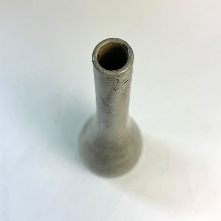 n02619