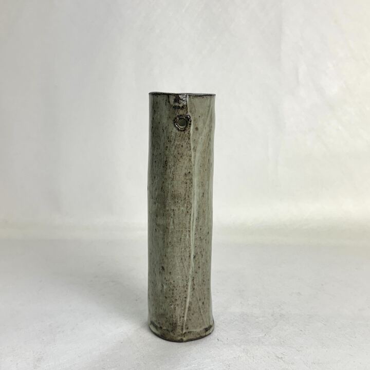 n02607