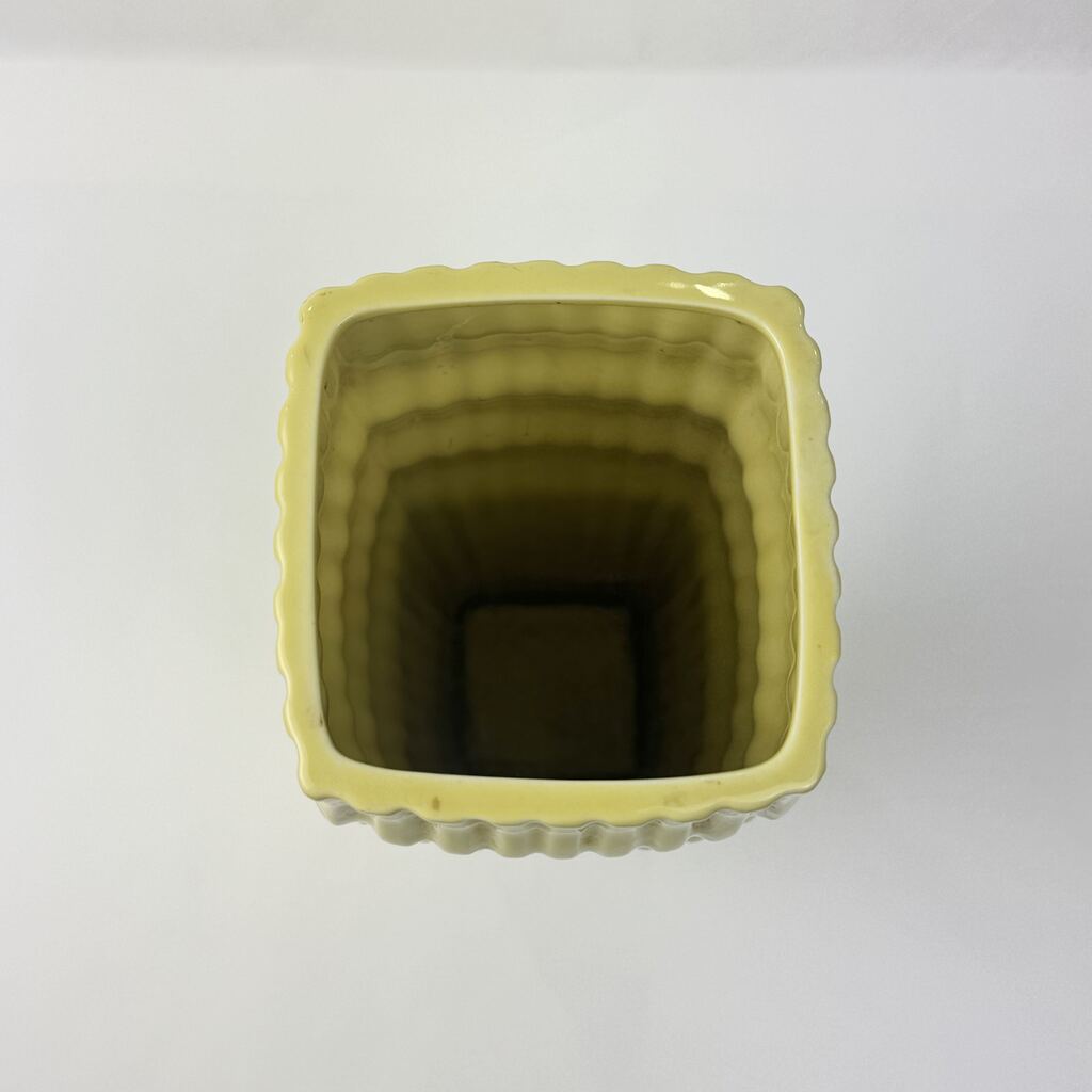 n05751