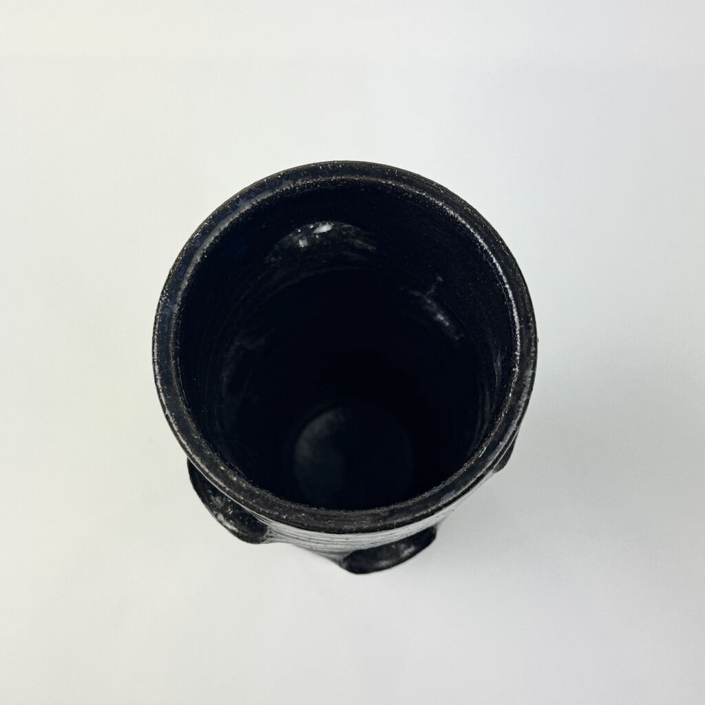n05786