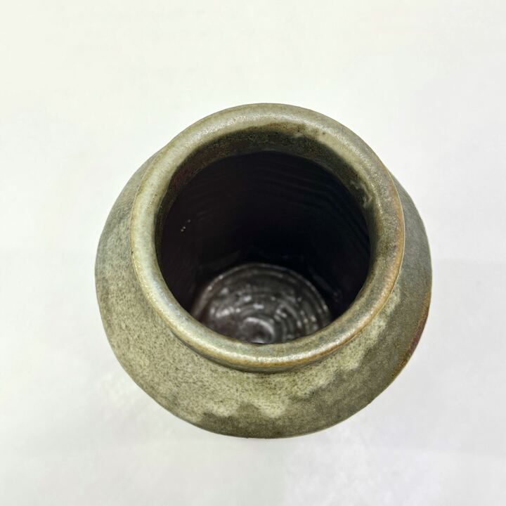n01996