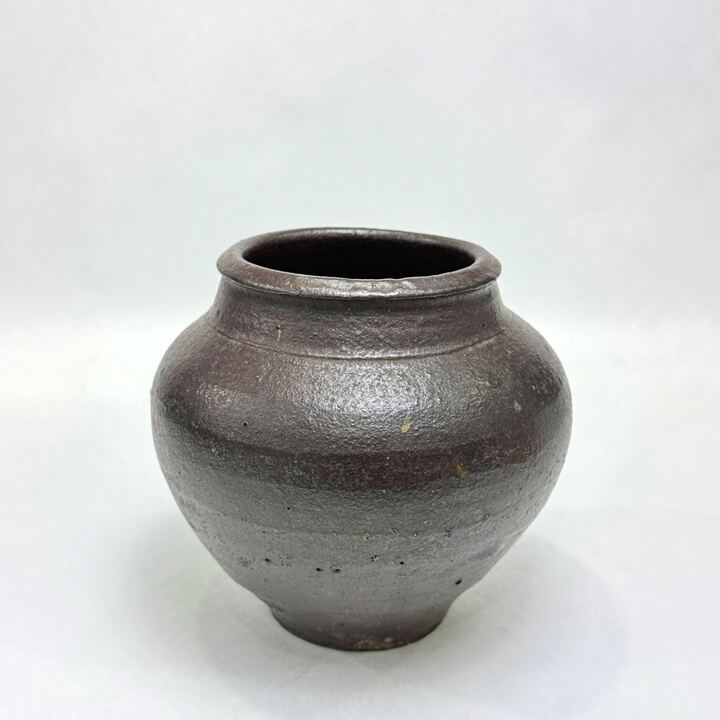 n02019