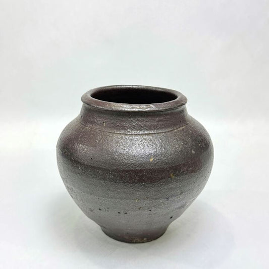 n02019