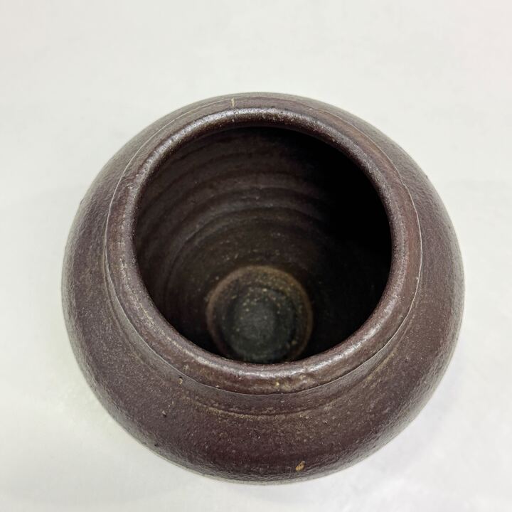 n02019
