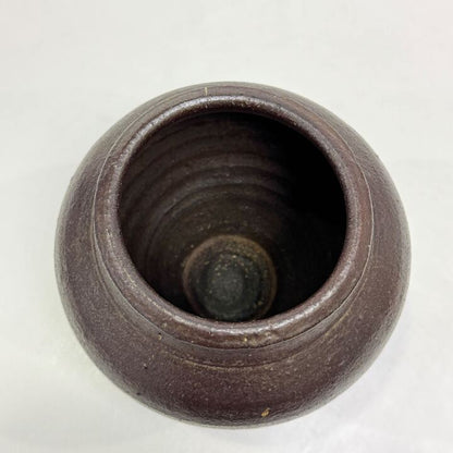 n02019