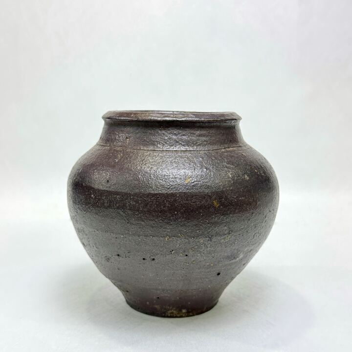 n02019