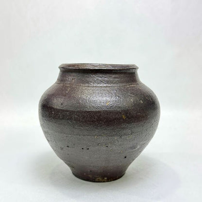 n02019