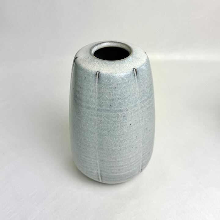 n02107