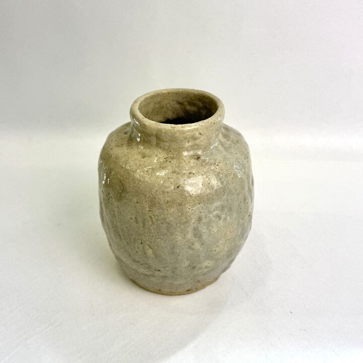 n01328