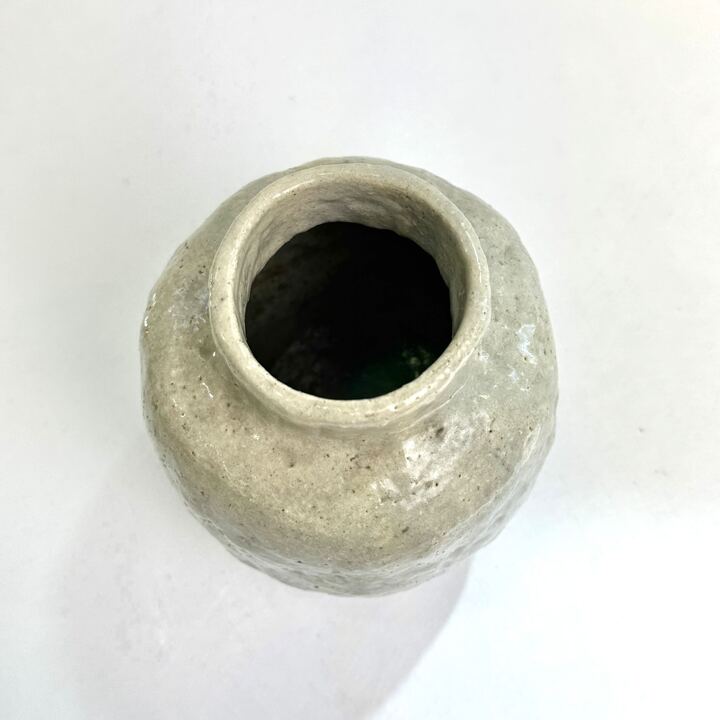 n01328