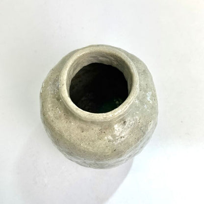 n01328