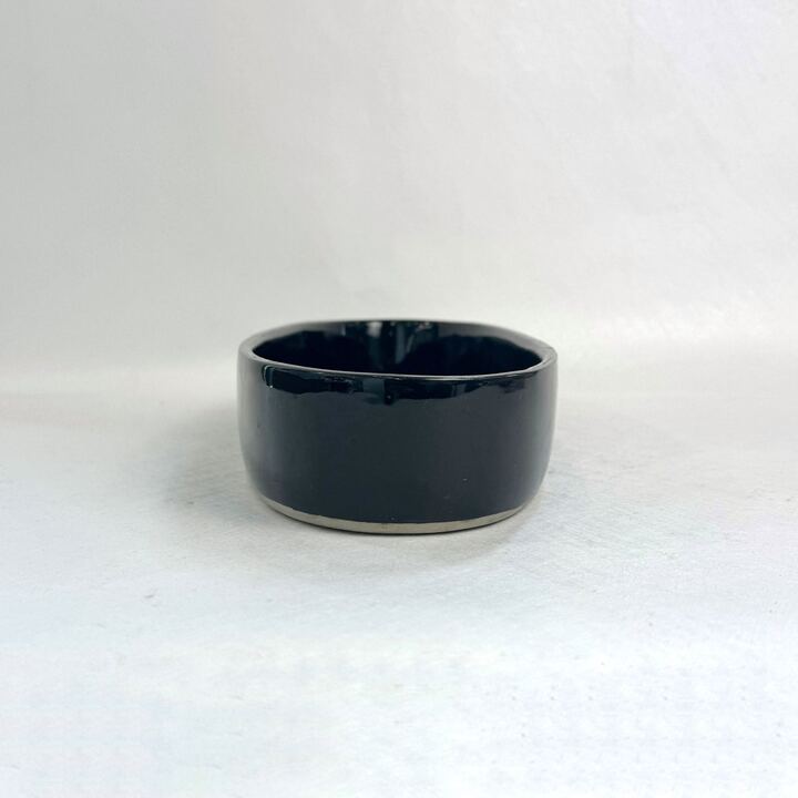s02231