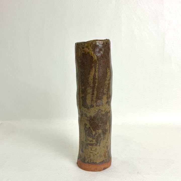 n02532