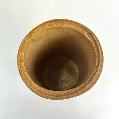 n02421