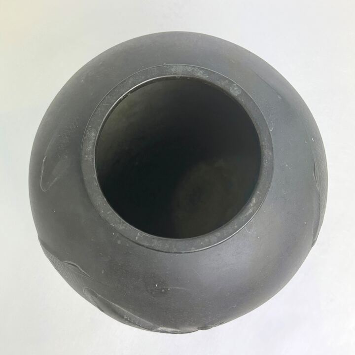 n01665