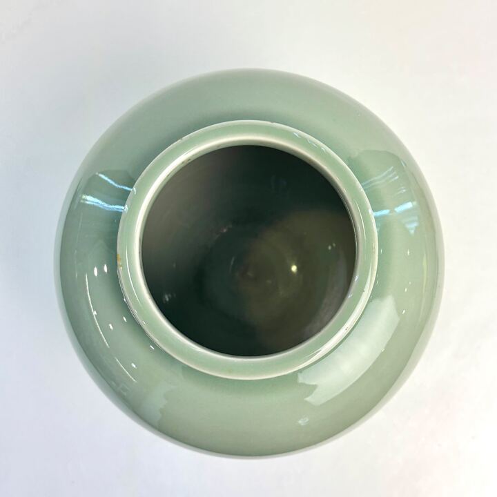 n02526