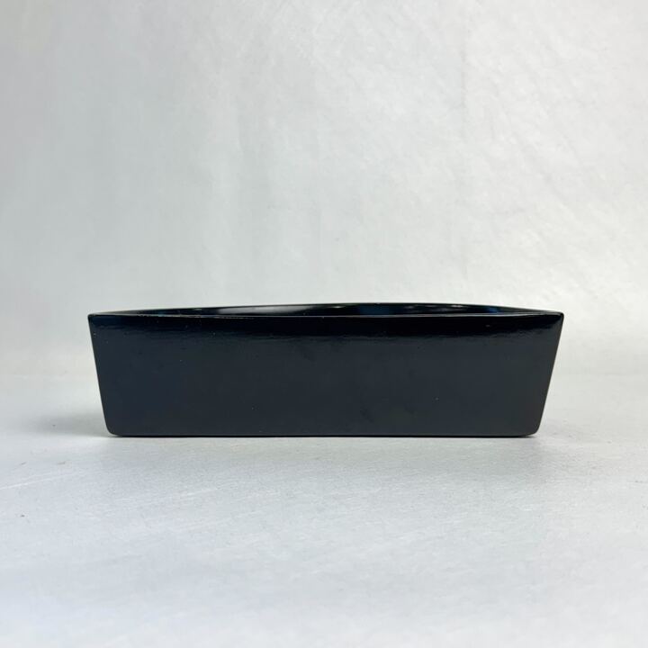 s02529
