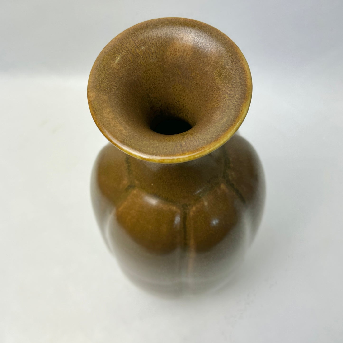 n01049