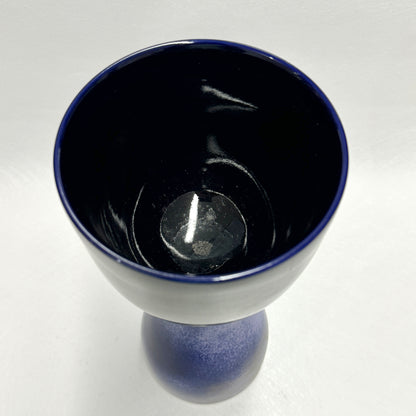 n01090
