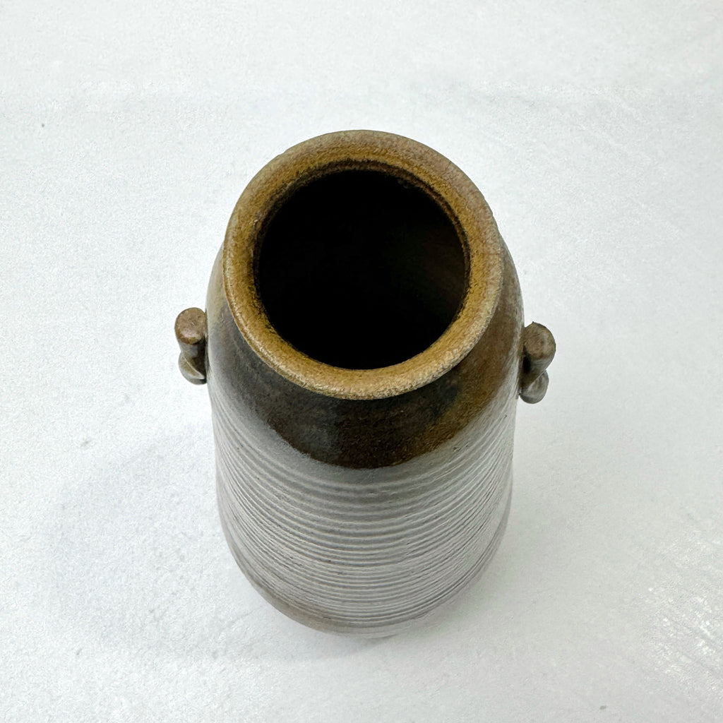 n01254